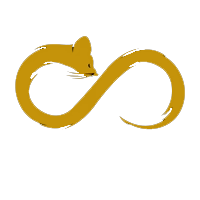 Infinity Mice Mouse Skate available at Hobby Dynamics – Hobby Dynamics ...